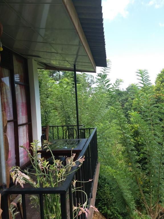 Green Lushy Home Stay Ella Εξωτερικό φωτογραφία