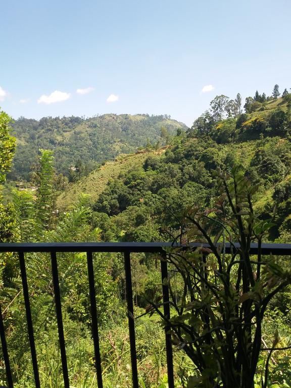 Green Lushy Home Stay Ella Εξωτερικό φωτογραφία